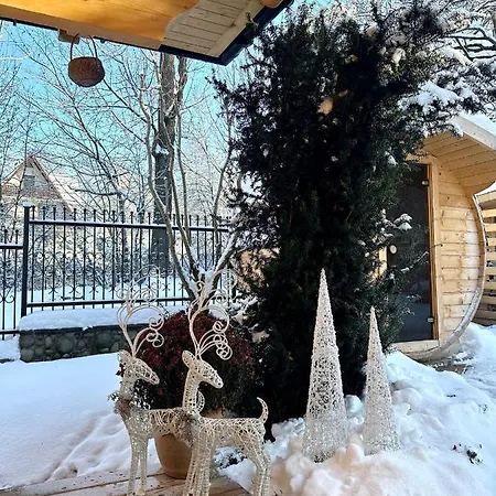 Tatra Krupowki 77a *